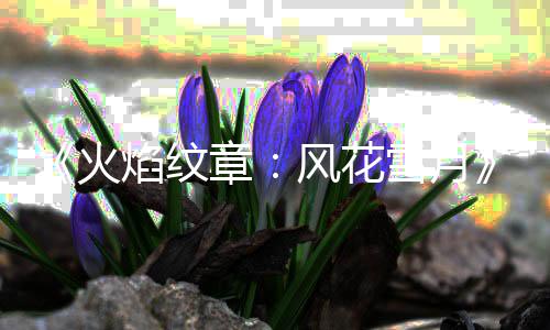 章公布管登雪月新库总 书焰纹火场风花角色