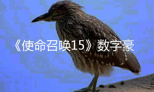 版上命召使数字商城 售元唤1豪华加强架X价9
