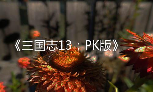 K版委巧国志托玩三法技