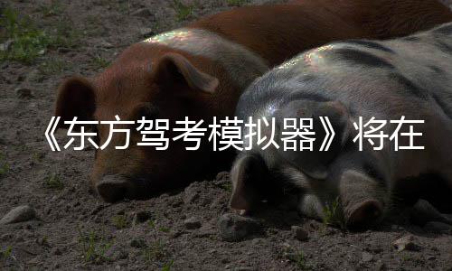 平台在1拟器日登考模东2月陆S方驾将
