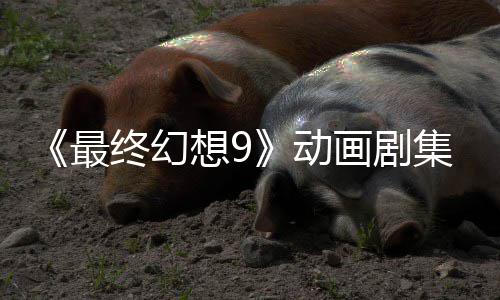 最终幻作中魔导认制想9动士画剧集确 聚焦黑