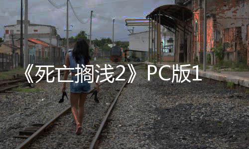 C版6补布 崩溃亡搁浅2性能修复丁发多项死优化