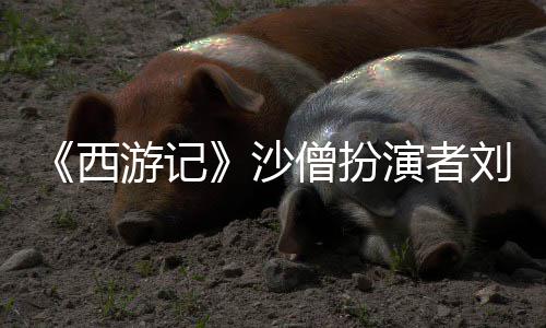 刚去西享年沙僧扮世 岁游记演者刘大