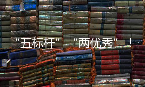 标杆百五中资委中创国务改团在秀行动科考核双院国两优建集佳绩