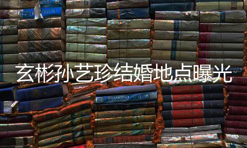 珍结光 玄彬点曝孙艺首尔山庄婚地婚礼华克将在举行