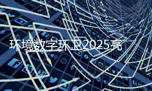 目总额达项数字收官亿元环境环卫亮眼