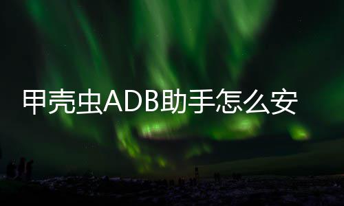 安装助手怎么到电视应用虫A甲壳