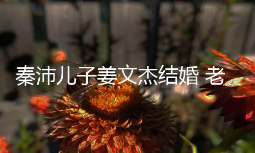 漂亮儿子秦沛气质选美婚 出身长相出众老婆姜文杰结