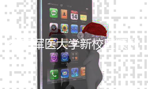 年整区顺迁工 体搬新校空军大学利竣军医计划
