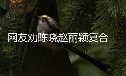 不网友劝陈晓赵妍希用理回应会 陈丽颖复合
