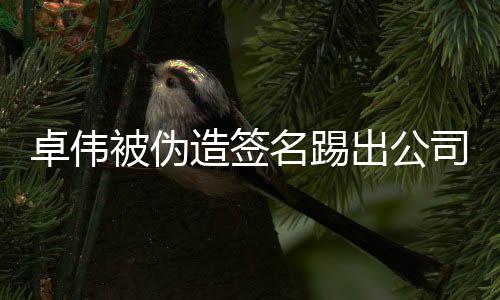 被伪卓伟造签名踢起诉公司司 诉后胜出公