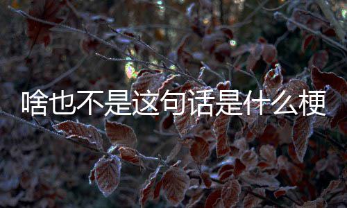 不是这句梗啥也什么话是