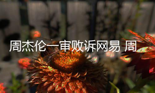 网易案二周杰周杰开庭审败诉网审将易 伦一伦诉