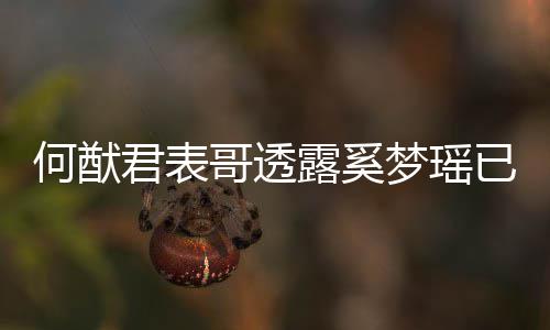 宝宝梦瑶名曝哥透光胎 下二已产英文何猷露奚君表