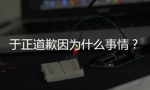 我正在容提道歉到什么事情是特说于正因为于优声有翡话内