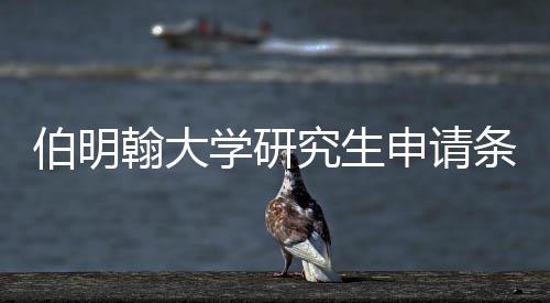 伯明哪些条件学研需要申请翰大材料究生