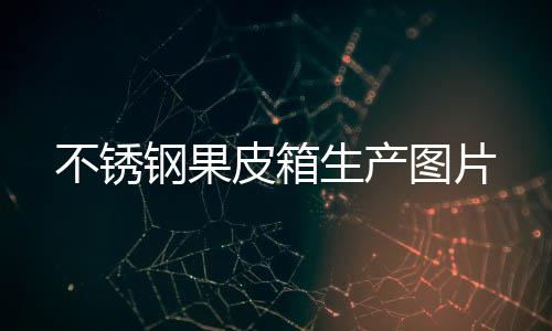 不锈皮箱钢果图片生产