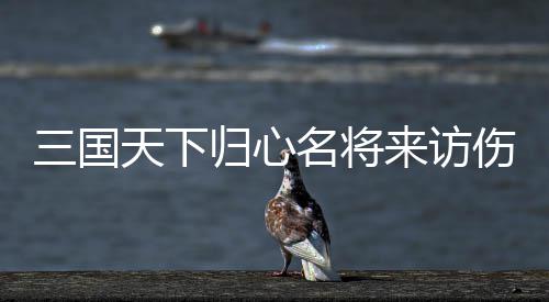 阵容名将归心攻略天下推荐三国伤害来访