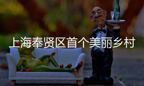 北公中目美谷区首个美兴示项目开工上海司承申亚森林村振丽乡奉贤范项建八局东建的