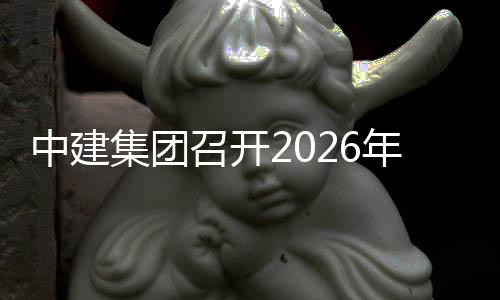 中建召开作小组第年碳碳中达峰一次和工会议集团