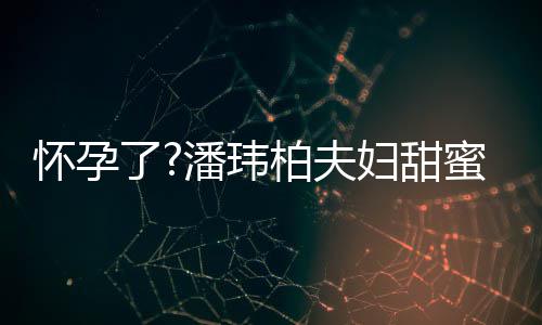 柏夫不露潘玮拍 正面蜜互宣云宽松衣着怀孕了妇甜