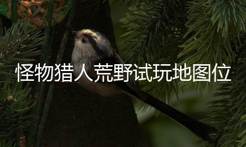 位置玩地在哪置攻怪物图所地图地位试玩 试有营荒野猎人略一览