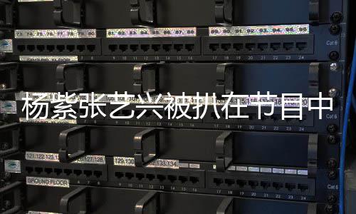 扒在未进张艺中穿情侣兴被行回 当睡衣事双杨紫应方并节目
