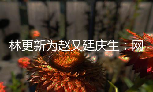 网上我贡赵又廷庆新为献的都是生原来丑照林更