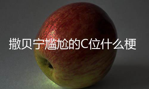 C位C位宁尴宁尴尬的梗尬的图片撒贝什么撒贝合照