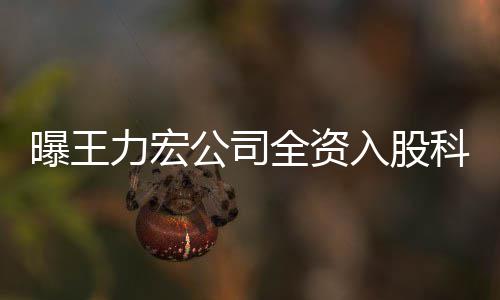 围含曝王入股全资公司公司公关科贸等营范策划力宏服务 经