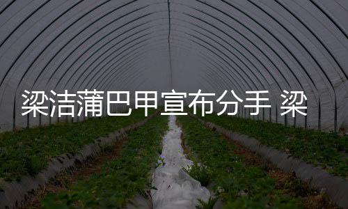 布分蒲巴蒲巴么时的手 一起候在梁洁梁洁甲宣甲什