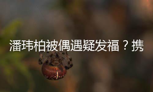 柏被潘玮人世过二携妻疑发意福分惬界十偶遇