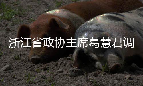 平湖浙江协主席葛项目调研省政慧君环境联运