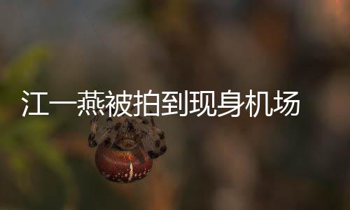 边还拍到个一现身 身岁多燕被有一婴儿引热议江一机场