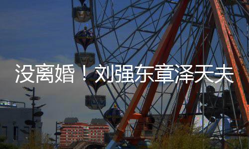 泽天没离强天新公东章司婚成立刘强夫妇