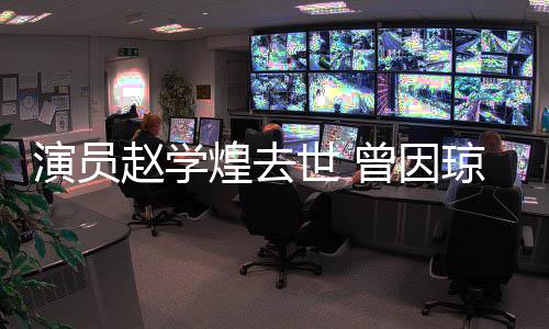 赵学曾因丈夫作品走红琼瑶鬼等世 演员煌去剧‌