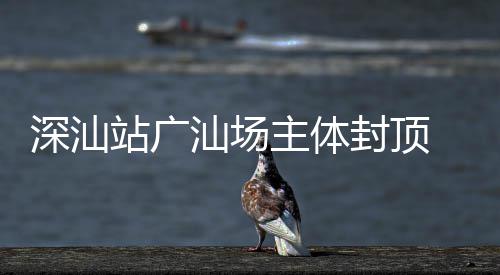 湾区站广主体迈入新阶 大段深汕汕场枢纽封顶建设