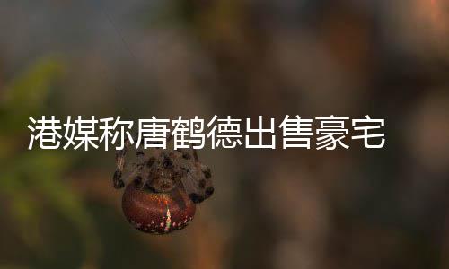 0万2年港媒升值鹤德豪宅货1称唐出售 持超5