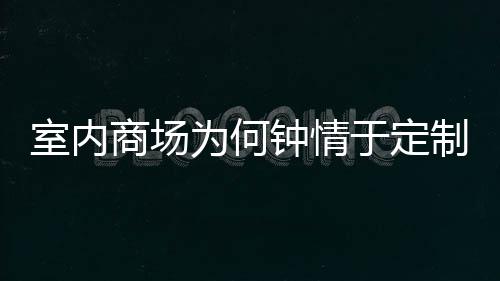 为何钟情制不锈钢室内商场于定两分类垃圾桶