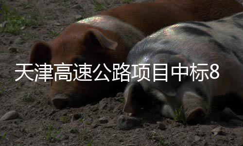标段中标高速公路8个天津项目