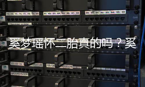 真的终未正面吗二胎奚梦奚梦瑶怀瑶和何猷回应老公君始