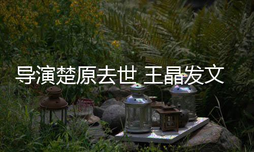 王文悼我敬重的念去世他是导演导师楚原晶发