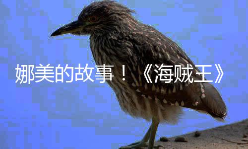 贼王娜美女主全V公开的故事海画P传动角外