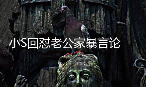 公小S肃回言论应维回怼 罕护老老公家暴见严