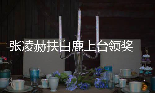 白鹿 网张凌磕大呼到了上台友们赫扶领奖