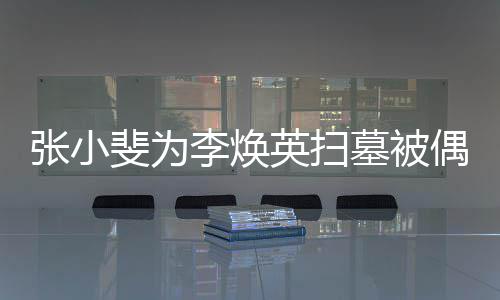 张小墓被丹全送英扫程接李焕斐为 姐姐贾偶遇
