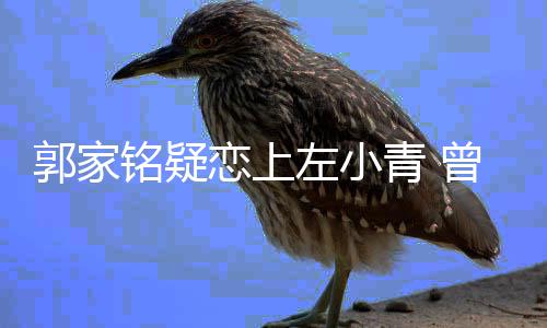 左小曾被铭疑青 郭家性取向郝蕾恋上方曝
