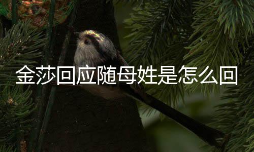 怎么姓是姓随母莎为什么随母回应回事金莎 金