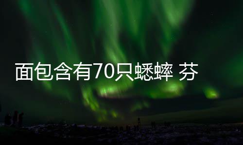 包味蟋只蟋重口面包推出蟀 蟀面含有芬兰