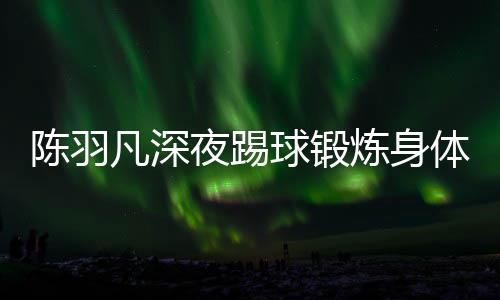 不畏陪伴女友球锻体 贴心夜踢严寒陈羽炼身凡深
